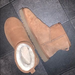 Mini Chestnut UGG